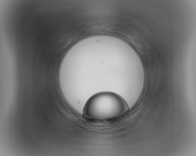 X0000111950215200907271041
