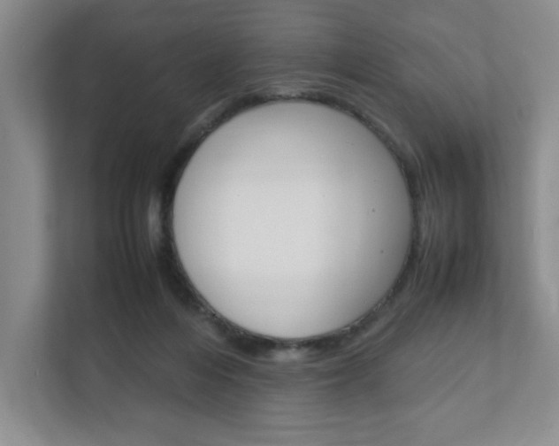 X0000111950216200907271041
