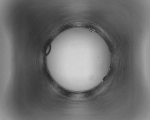 X0000111950217200907271041