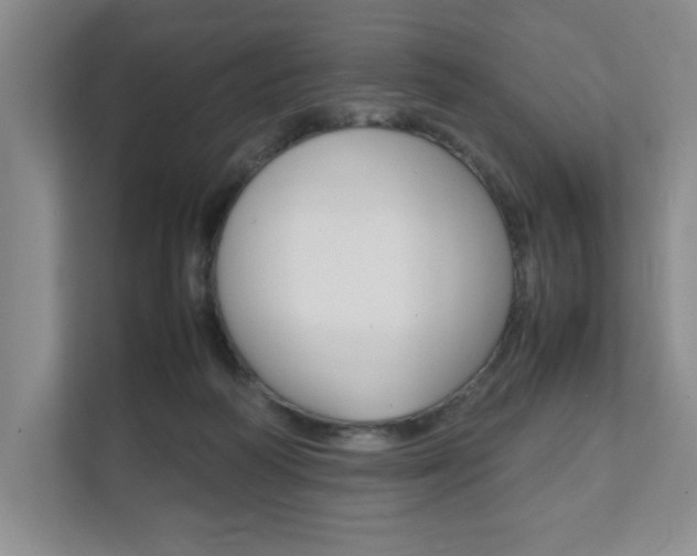 X0000111950218200907271041