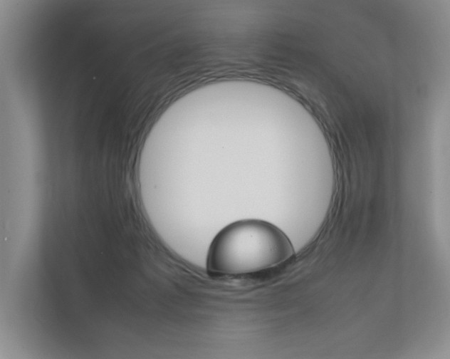 X0000111950221200907271041