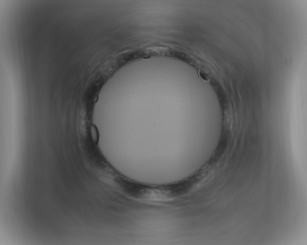 X0000111950223200907271041