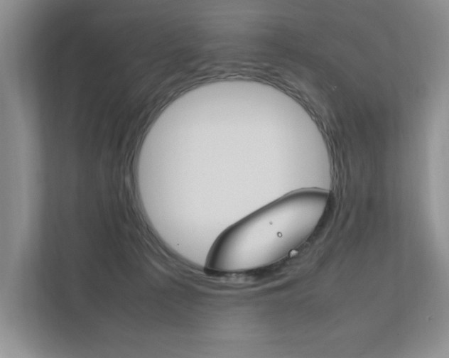 X0000111950225200907271041