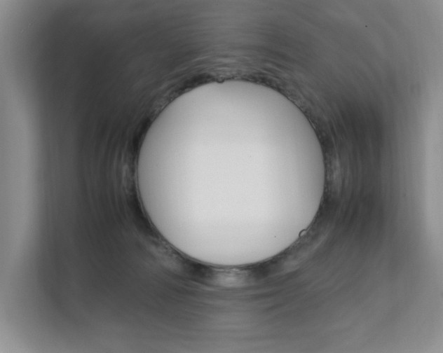 X0000111950226200907271041