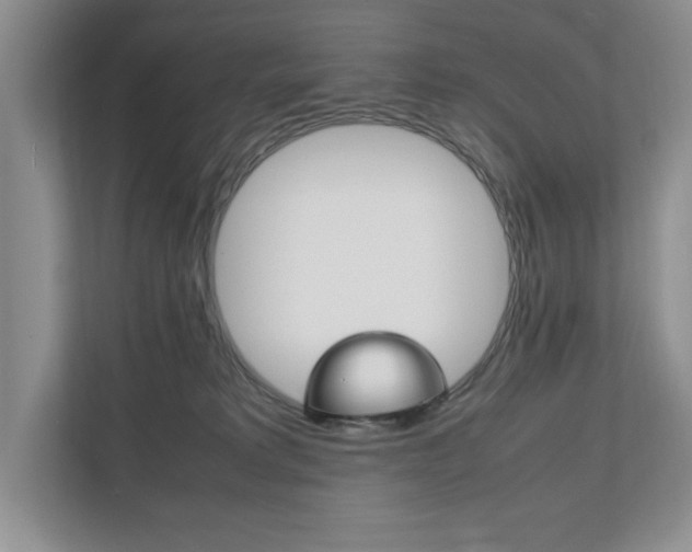 X0000111950229200907271041