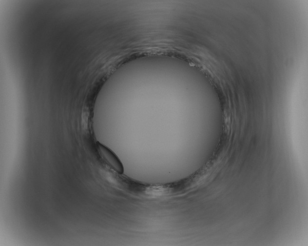 X0000111950231200907271041