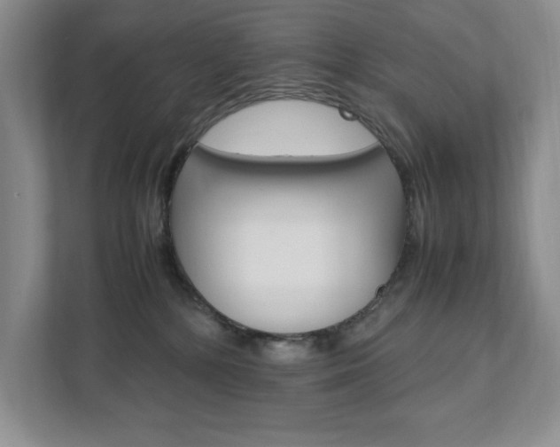 X0000111950232200907271041