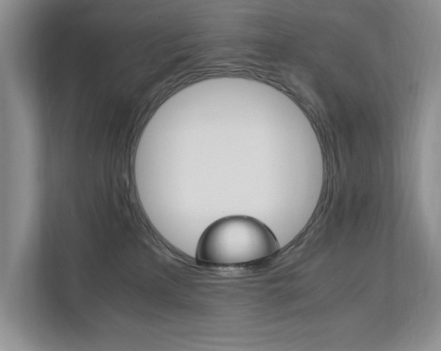 X0000111950233200907271041