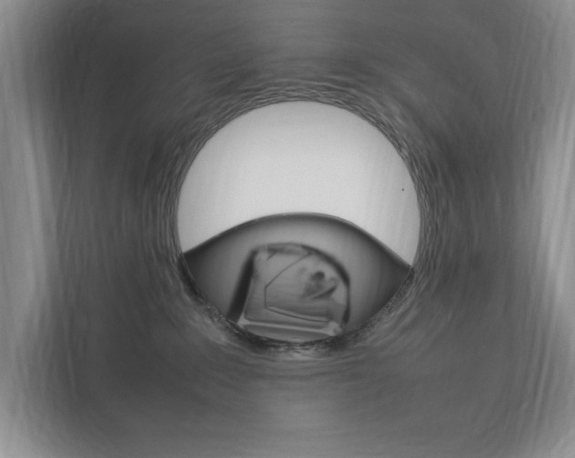 X0000111950235200907271041