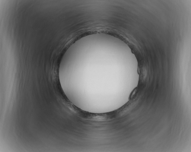 X0000111950236200907271041