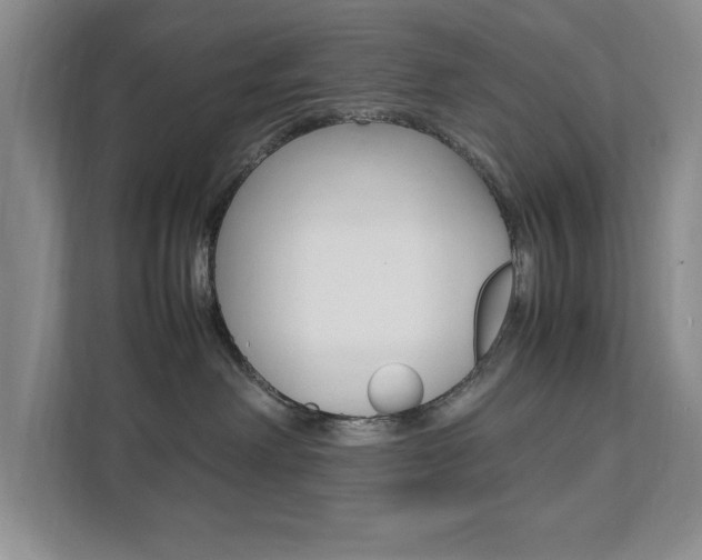 X0000111950238200907271041