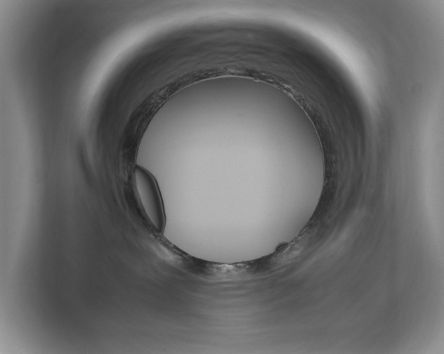 X0000111950239200907271041