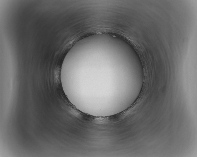 X0000111950240200907271041