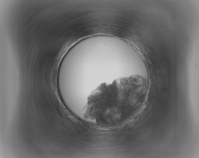 X0000111950241200907271040