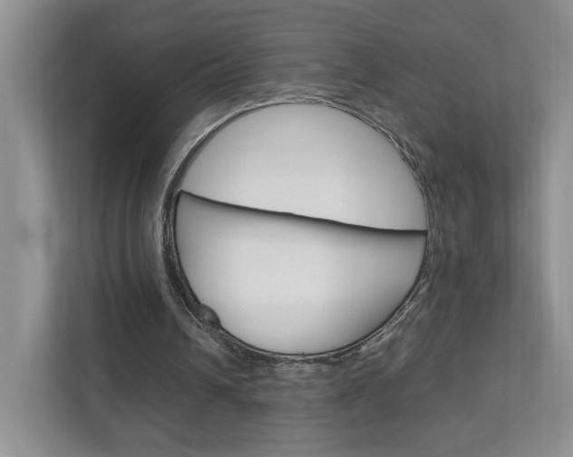 X0000111950242200907271040