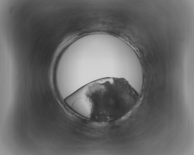 X0000111950245200907271040