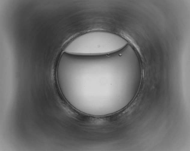 X0000111950249200907271040