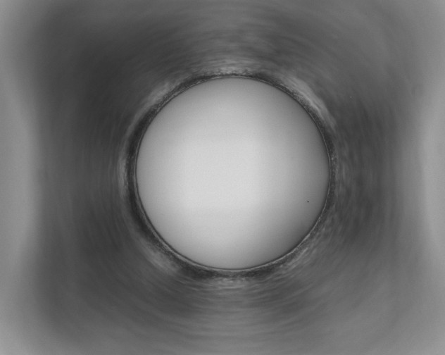 X0000111950250200907271040