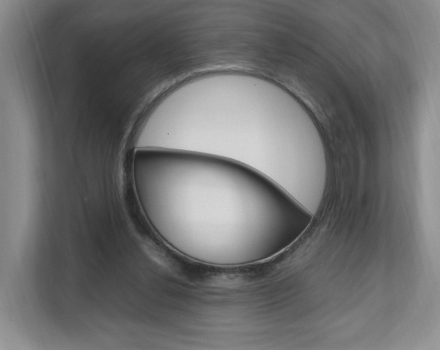 X0000111950252200907271040