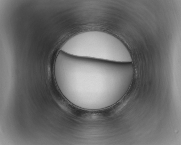 X0000111950254200907271040