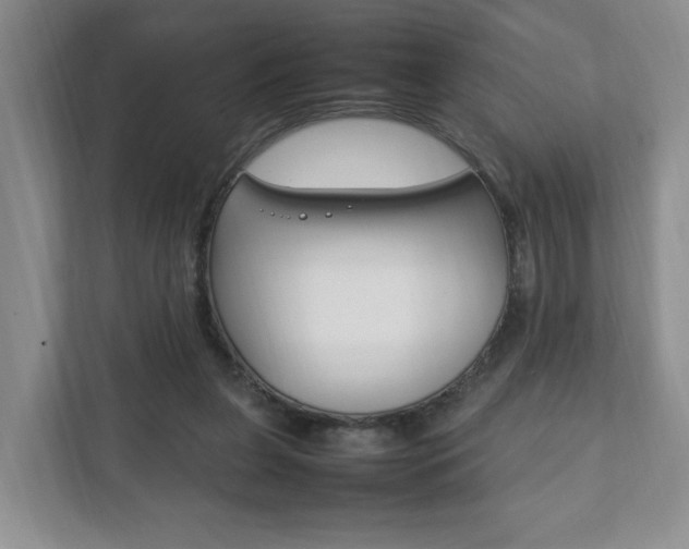 X0000111950255200907271040