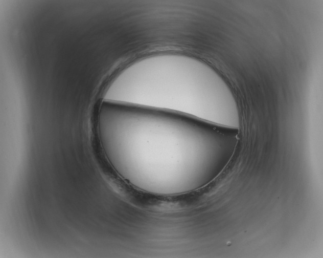 X0000111950256200907271040