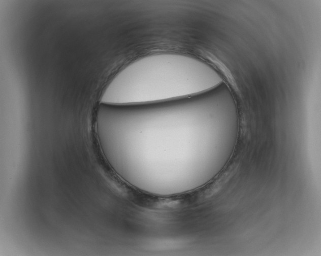 X0000111950257200907271041