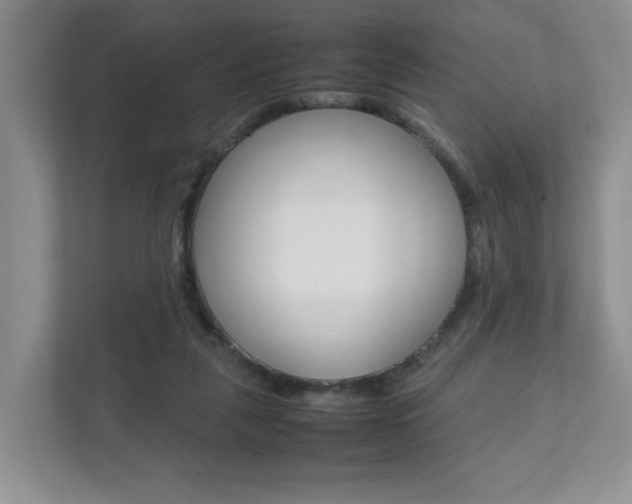 X0000111950259200907271041