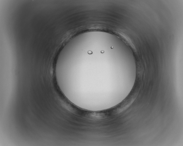 X0000111950261200907271041