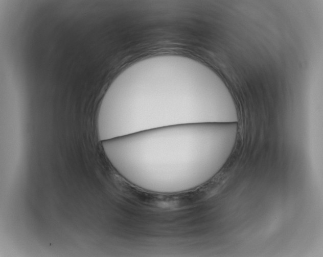 X0000111950263200907271041