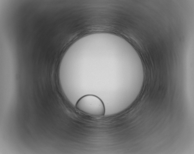 X0000111950264200907271041