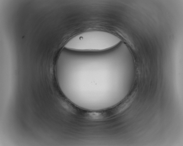 X0000111950265200907271041