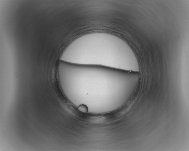 X0000111950266200907271041