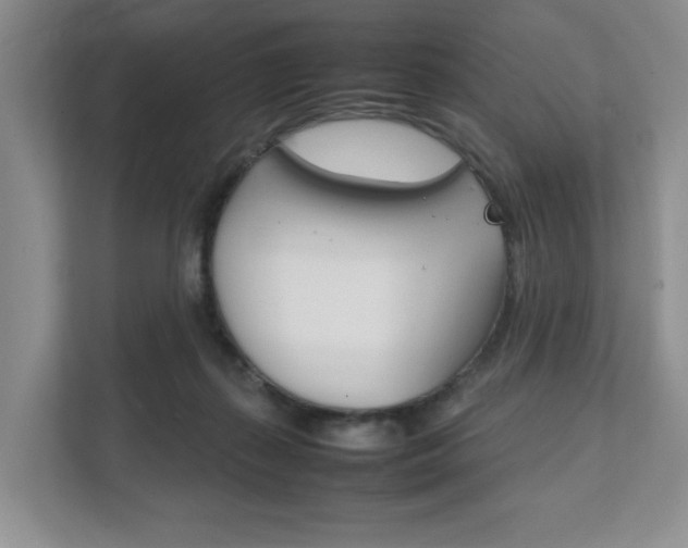 X0000111950267200907271041