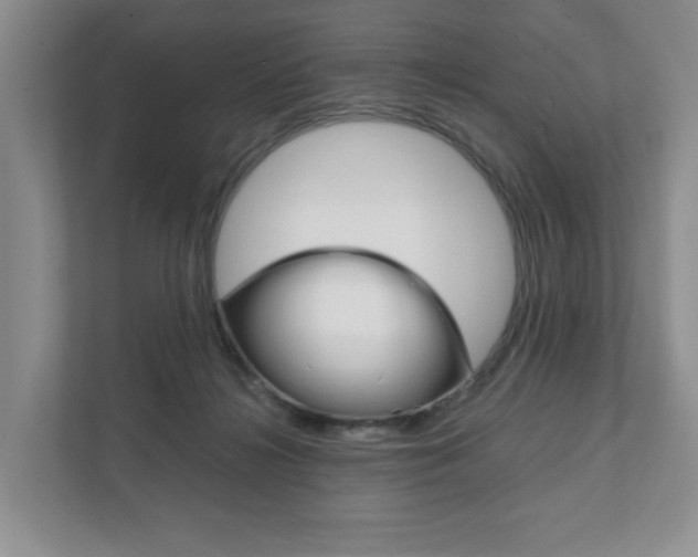 X0000111950268200907271041