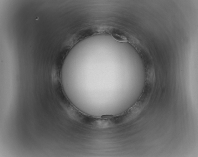 X0000111950272200907271041