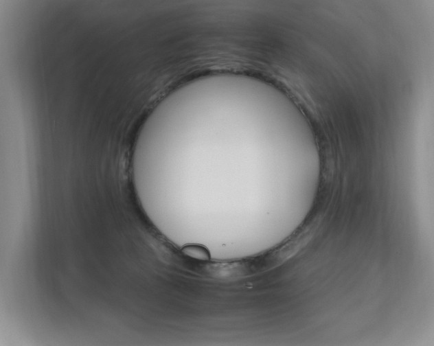 X0000111950273200907271041