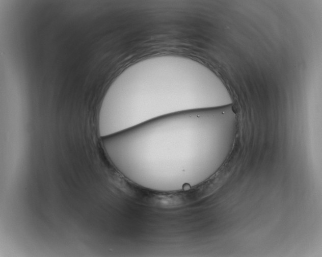 X0000111950275200907271041