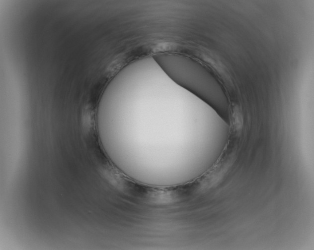 X0000111950276200907271041