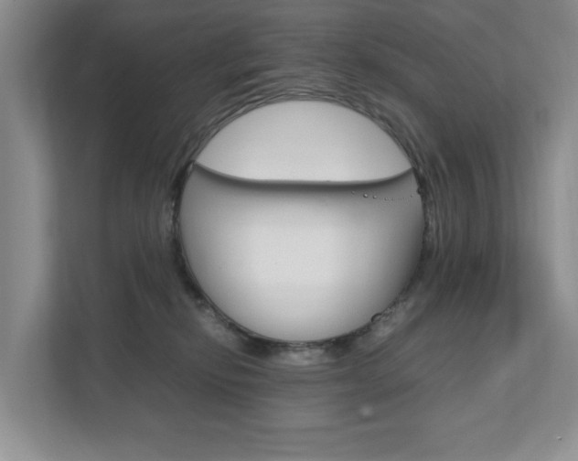 X0000111950278200907271041