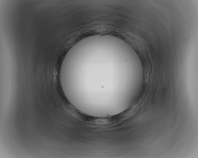 X0000111950279200907271041