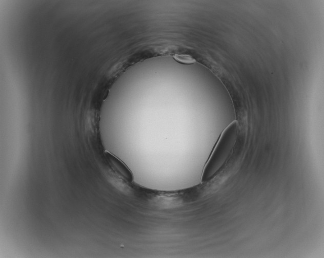 X0000111950280200907271041