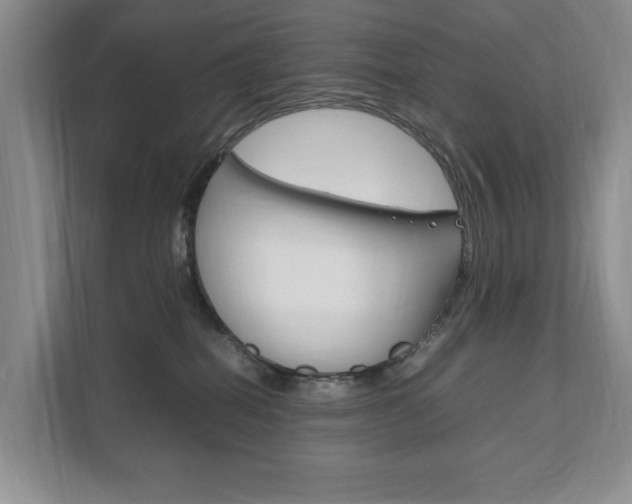 X0000111950282200907271041