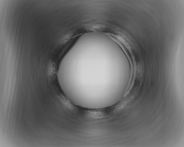 X0000111950284200907271041