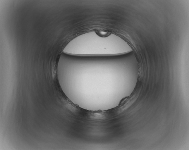 X0000111950285200907271041
