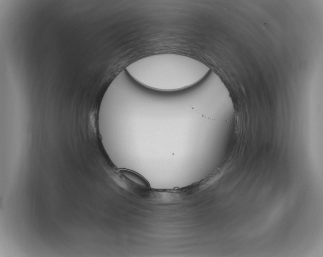 X0000111950286200907271041