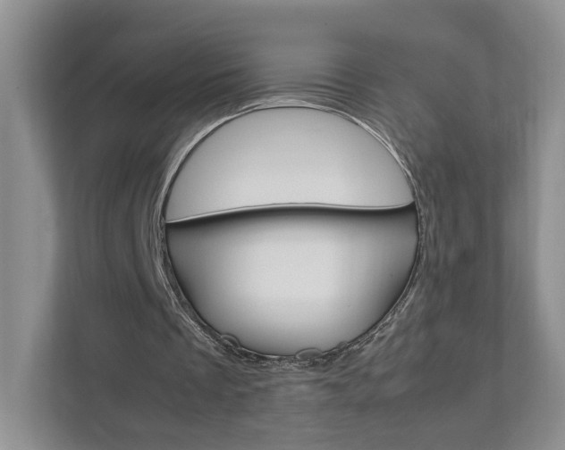 X0000111950289200907271040
