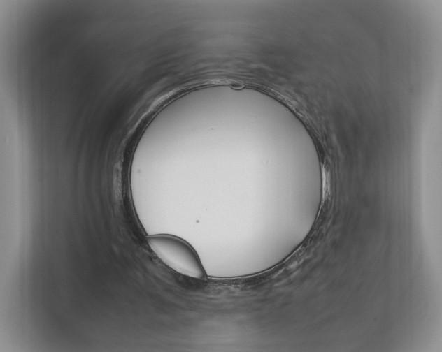 X0000111950291200907271040