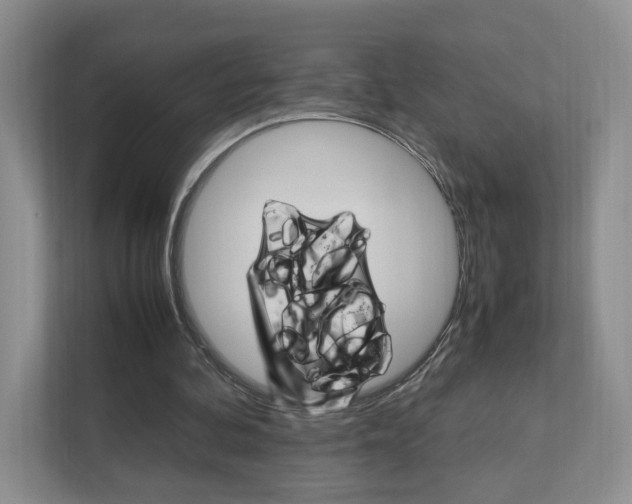 X0000111950292200907271040