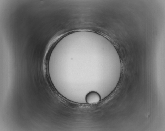 X0000111950294200907271040
